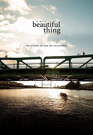 A Most Beautiful Thing