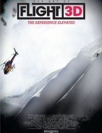 The Art of Flight