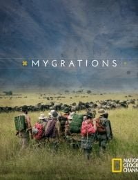 Mygrations