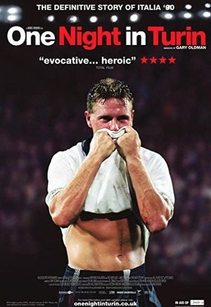 One Night in Turin