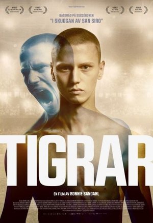 Tigers