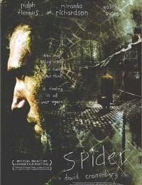 Spider