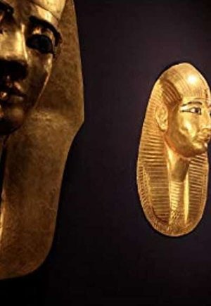 Museum Secrets
