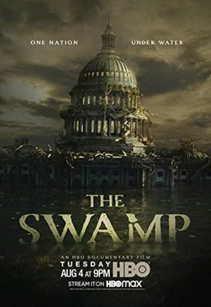 The Swamp