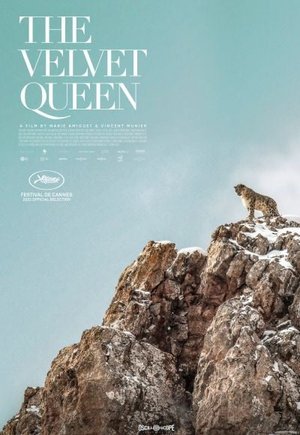 The Velvet Queen