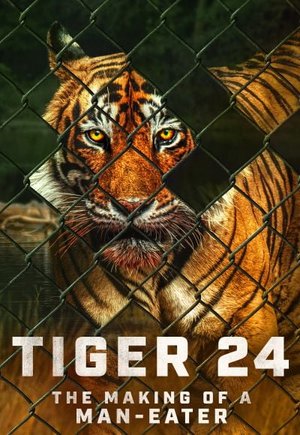 Tiger 24